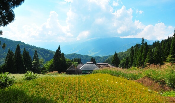 白馬村真木集落