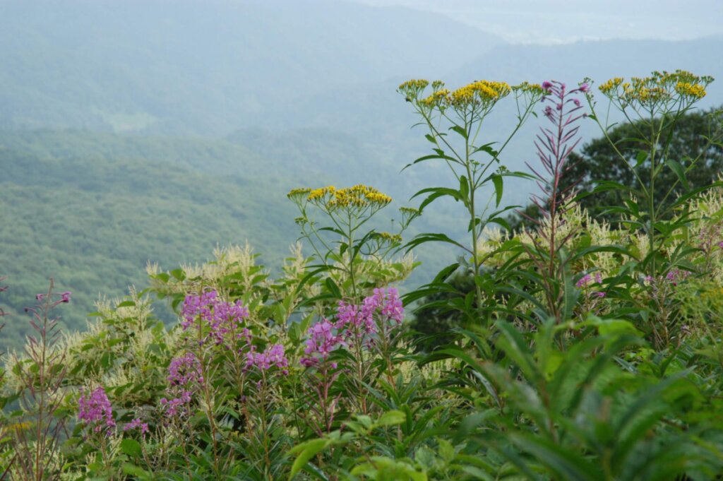 斑尾山